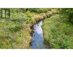1233 Beiers Rd, Gravenhurst, ON P0E1N0 Photo 12
