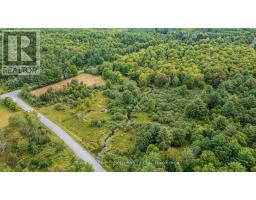 1233 Beiers Rd, Gravenhurst, ON P0E1N0 Photo 15