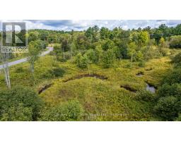 1233 Beiers Rd, Gravenhurst, ON P0E1N0 Photo 8