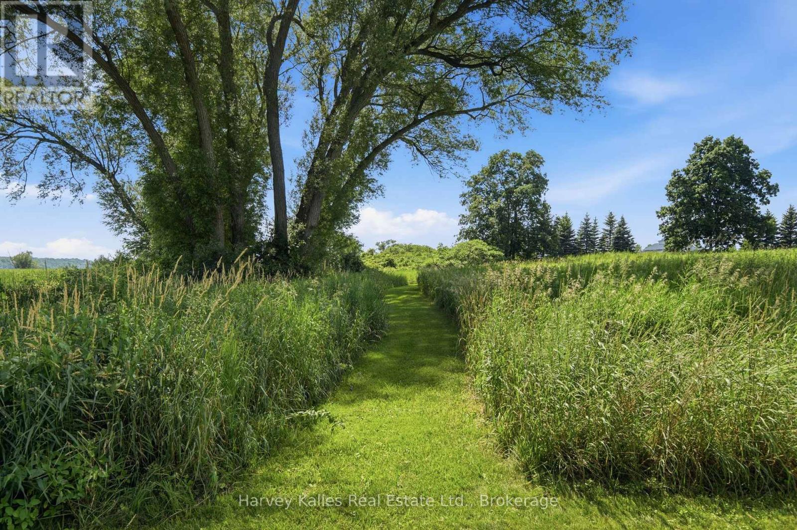 388 SOUTH BIG ISLAND ROAD - Image 46