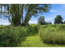 388 South Big Island Road, Prince Edward County, ON K0K1W0 Photo 46