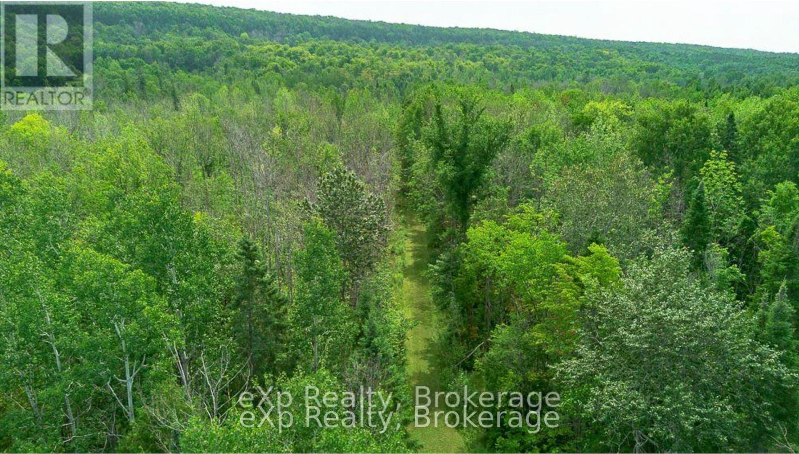 502354 GREY ROAD 1 ROAD - 41