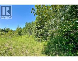 Nw-18-62-6-5, Rural Woodlands County, AB T0G1A0 Photo 12