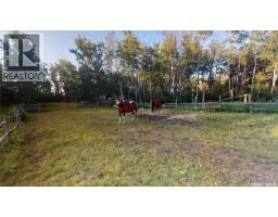 # Kenosee Drive, Moose Mountain Provincial Park, SK S0C2S0 Photo 17