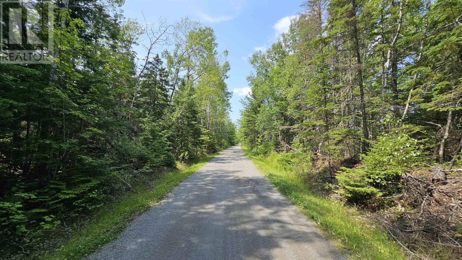 Lot Siding Road, Bayhead — photo 3