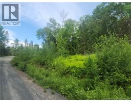 21-01 Sunset Drive, photo 7