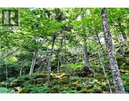 Lot 85-59 Bayview Drive, Wilsons Beach, NB E5E1Z3 Photo 6