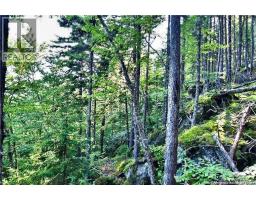 Lot 85-59 Bayview Drive, Wilsons Beach, NB E5E1Z3 Photo 7