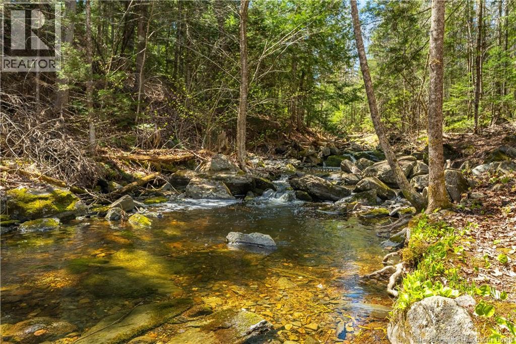 752 Route 127 - Image 41