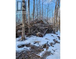 Lot #20 Crestview Drive, Greater Madawaska, ON K0J1H0 Photo 9