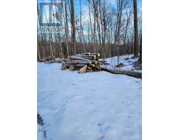 Lot #20 Crestview Drive, Greater Madawaska, ON K0J1H0 Photo 10