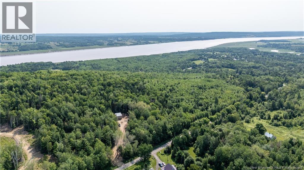 110 Beech Hill - 4