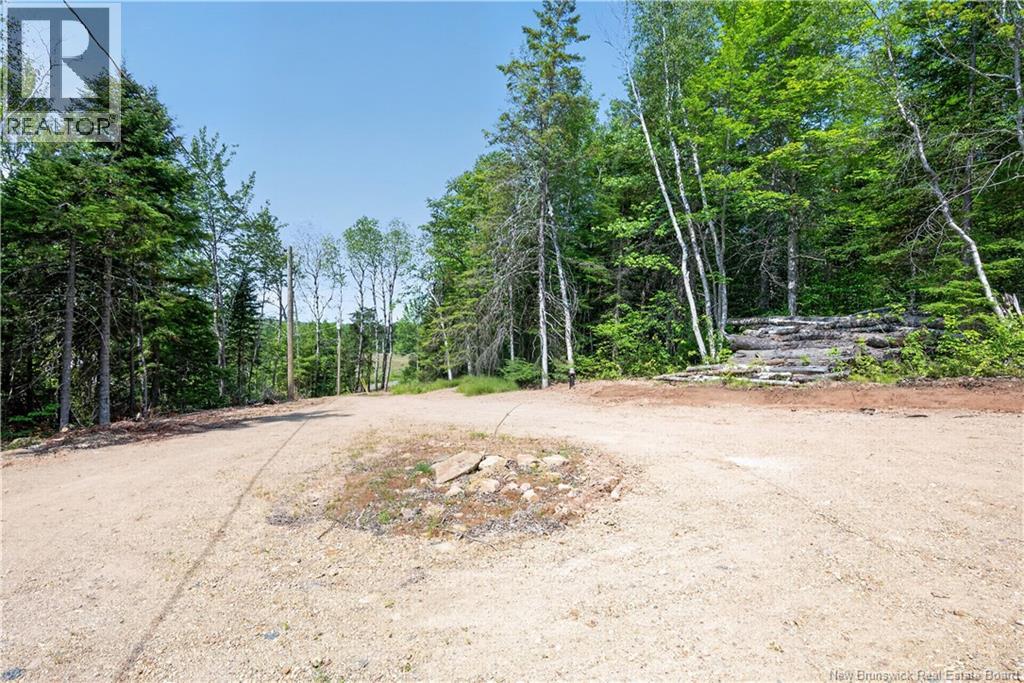110 Beech Hill - 37