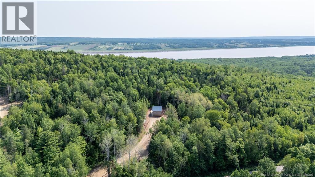 110 Beech Hill - Image 6