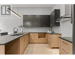 Mud room - 141 King Edward Street, Brant, ON N3L3E3 Photo 7