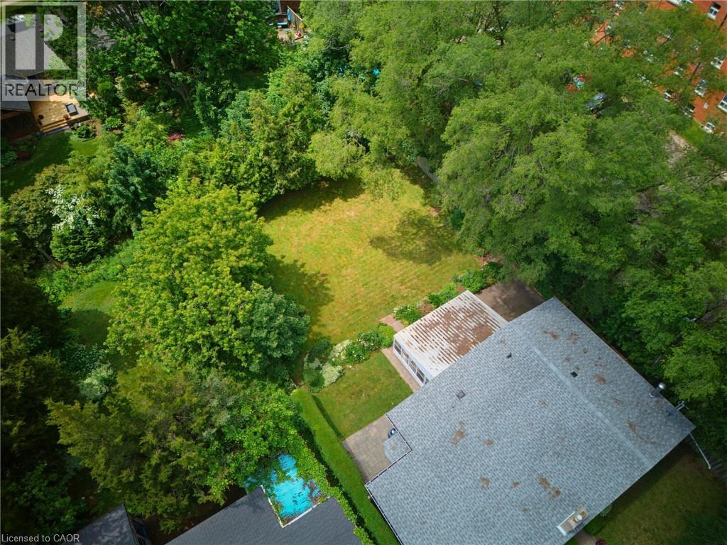 Expansive backyard featuring a manicured lawn, abundant mature trees, and a privacy hedge