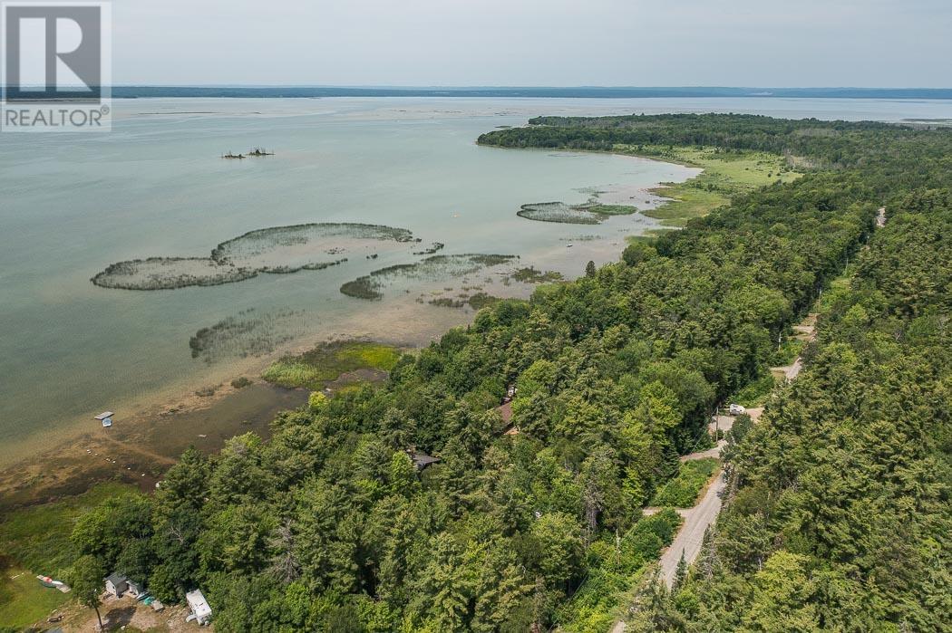 103 Birch Point DR, Laird Township - 48