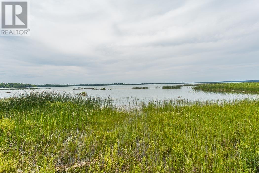 103 Birch Point DR, Laird Township - 43