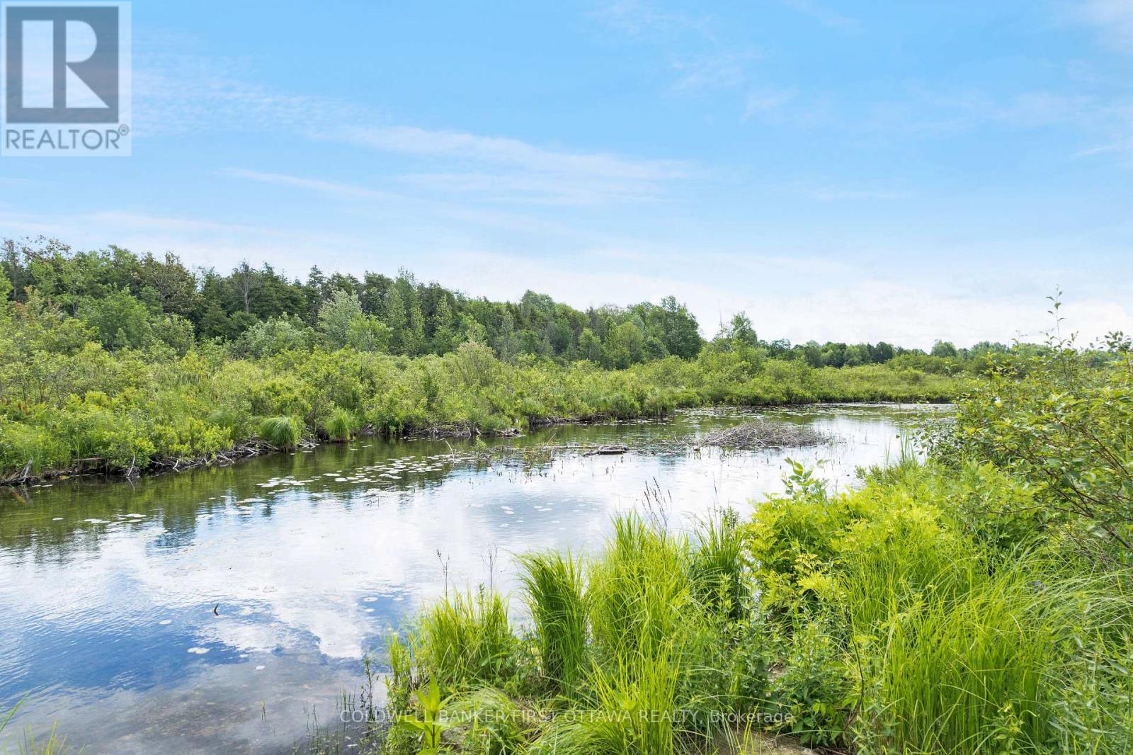 51 OTTER LAKE ROAD - 33
