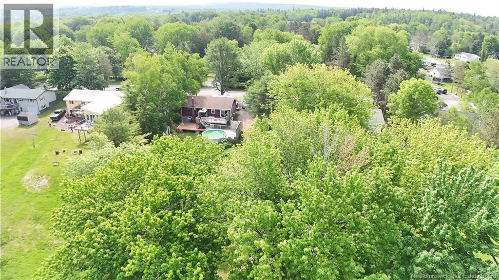 55 Randall Drive - 7