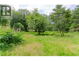 55 Randall Drive, Hampton, NB E5N6A4 Photo 47