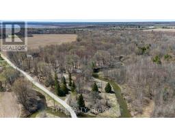 50 Concession Rd 2 W, Tiny, ON L0L2T0 Photo 47