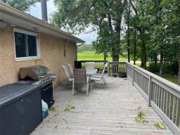 393 Railway Street, Ponemah, MB R0C2B0 Photo 47