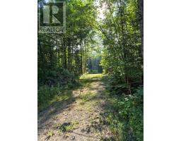 446 Burritts Road, Papineau Cameron, ON P0H1V0 Photo 17