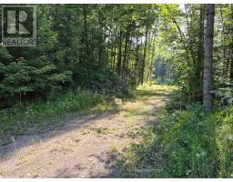 446 Burritts Road, Papineau Cameron, ON P0H1V0 Photo 10