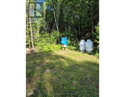 446 Burritts Road, Papineau Cameron, ON P0H1V0 Photo 13