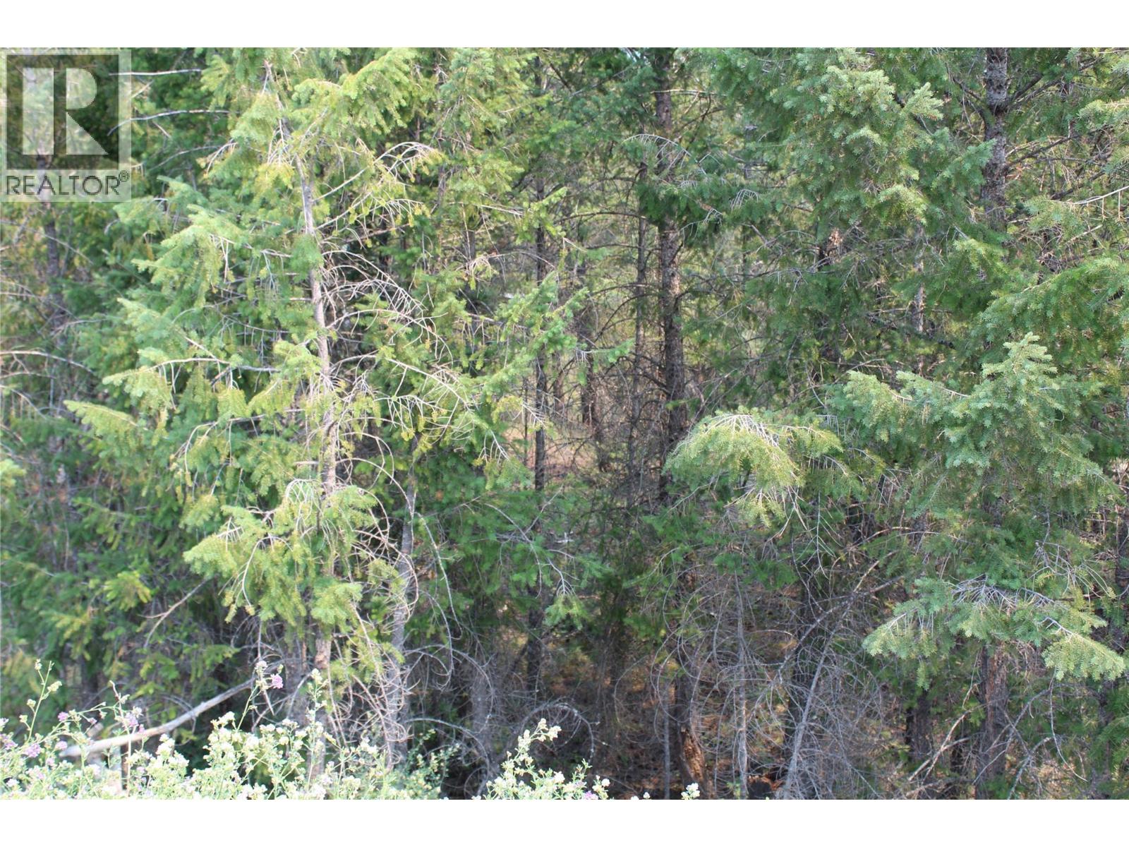 Lot 21 COPPER POINT Way, Windermere — photo 3