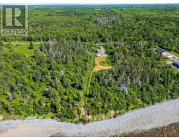 131 Doty Branch, Ashmore, NS B0W3T0 Photo 22