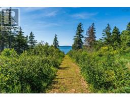 131 Doty Branch, Ashmore, NS B0W3T0 Photo 10