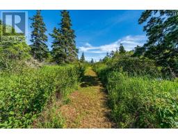 131 Doty Branch, Ashmore, NS B0W3T0 Photo 13