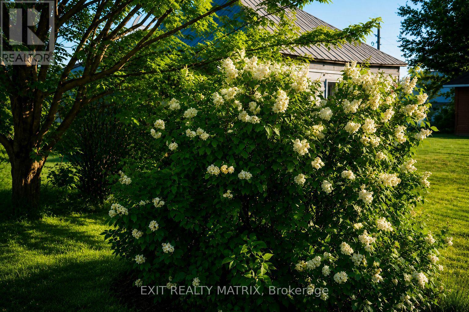 18203 KENYON 19 CONCESSION - Image 40