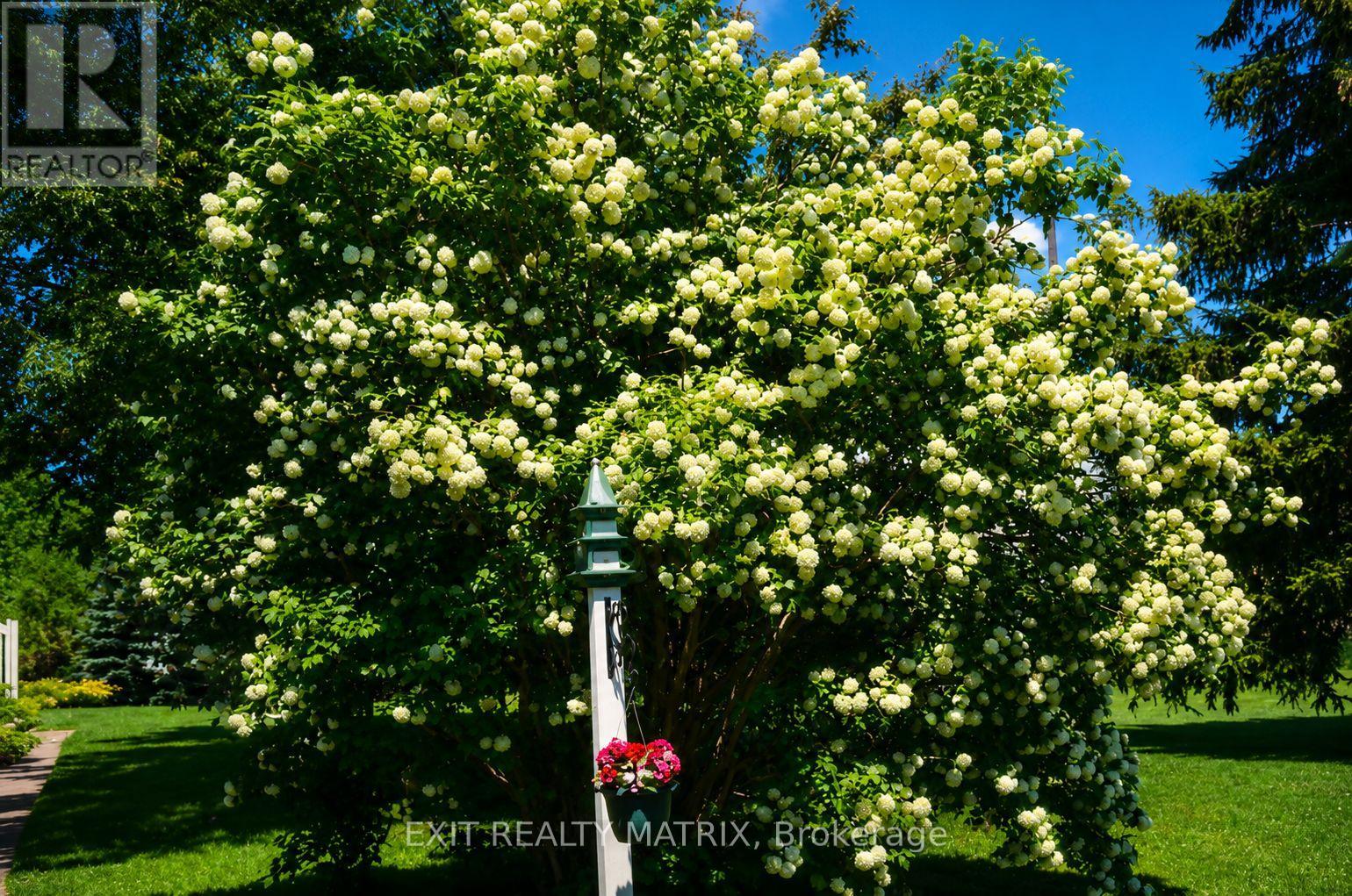 18203 KENYON 19 CONCESSION - Image 41