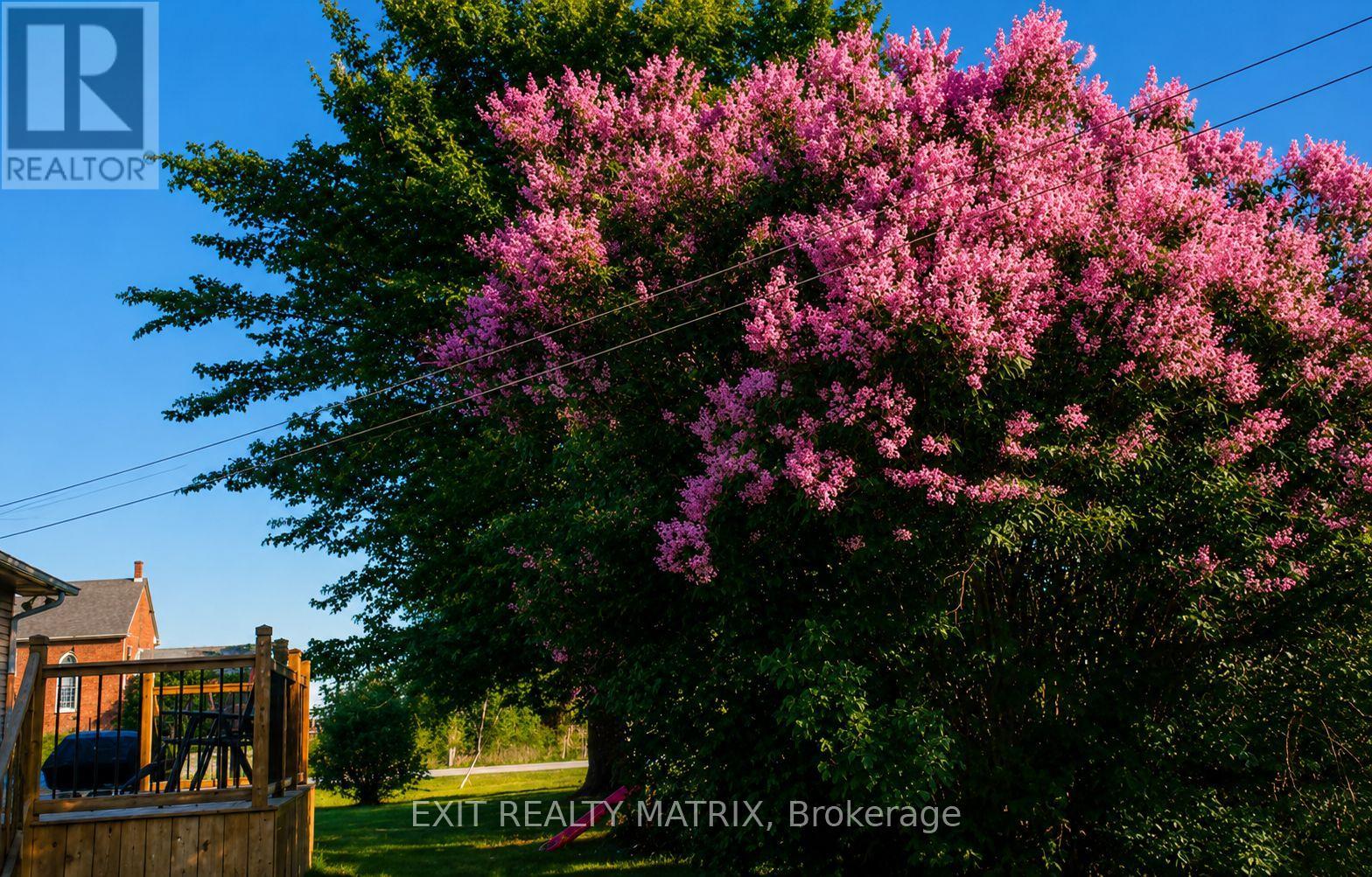 18203 KENYON 19 CONCESSION - Image 42