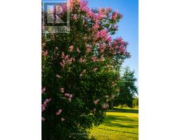 18203 Kenyon 19 Concession, North Glengarry, ON K0C1T0 Photo 38