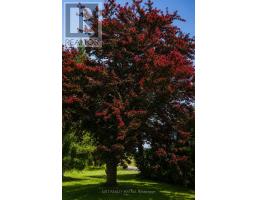 18203 Kenyon 19 Concession, North Glengarry, ON K0C1T0 Photo 39