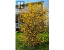 18203 Kenyon 19 Concession, North Glengarry, ON K0C1T0 Photo 44