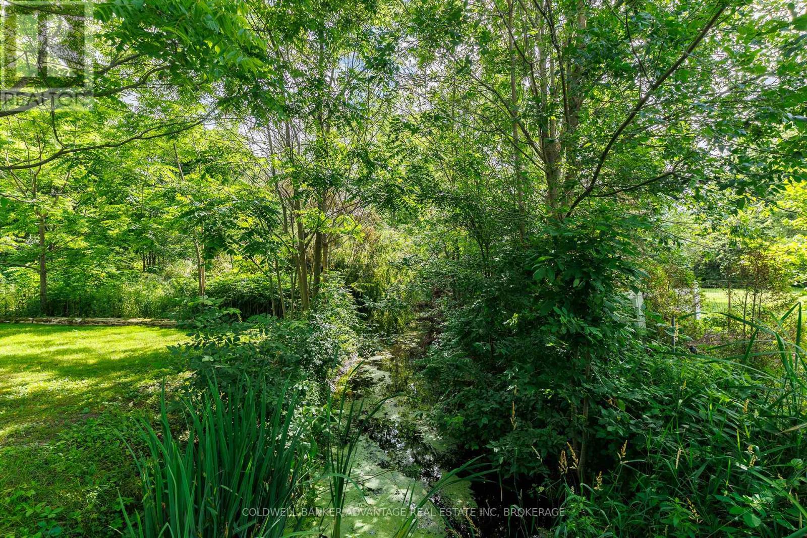 10448 LAKESHORE ROAD W - 44