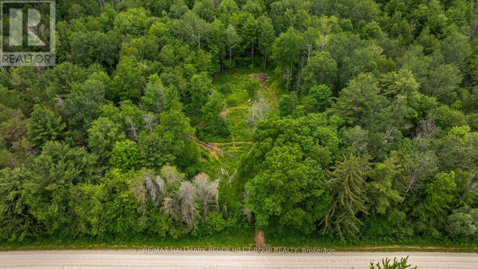 3664 HOGBACK ROAD - Image 13