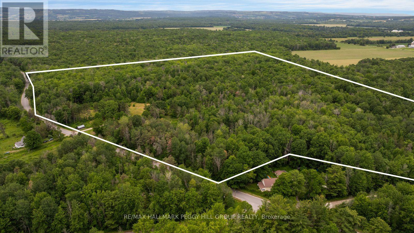 3664 HOGBACK ROAD - 14