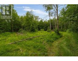 3664 Hogback Road, Clearview, ON L0M1N0 Photo 10