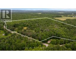 3664 Hogback Road, Clearview, ON L0M1N0 Photo 14