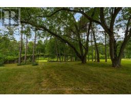 3664 Hogback Road, Clearview, ON L0M1N0 Photo 6