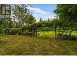 3664 Hogback Road, Clearview, ON L0M1N0 Photo 7