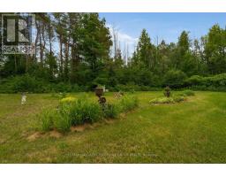 3664 Hogback Road, Clearview, ON L0M1N0 Photo 8