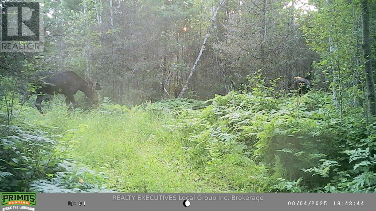 14965 SOUTH LORRAIN POINT - 22