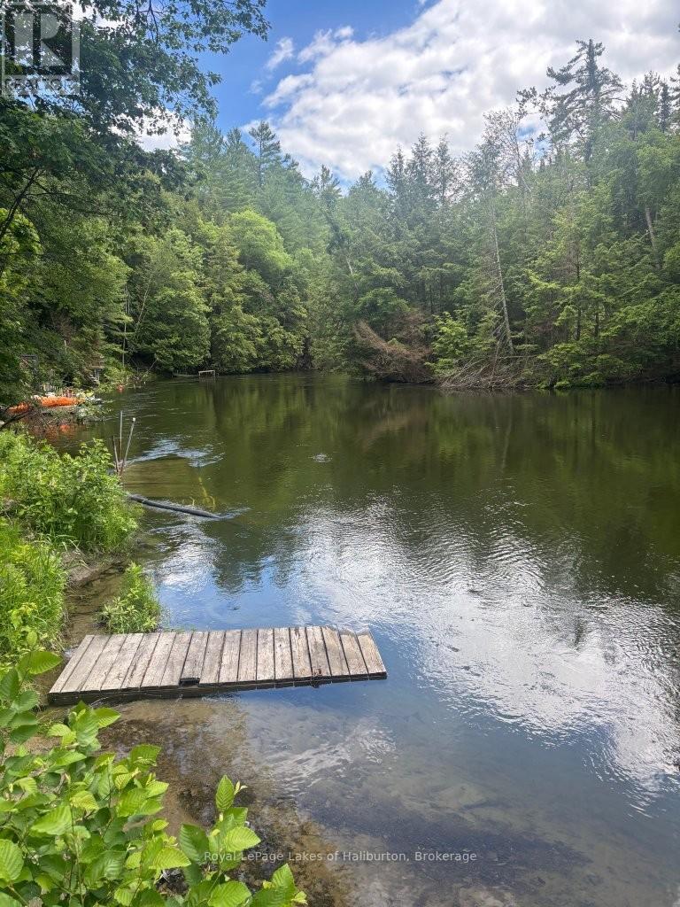 1019 LOYALIST DRIVE - 46